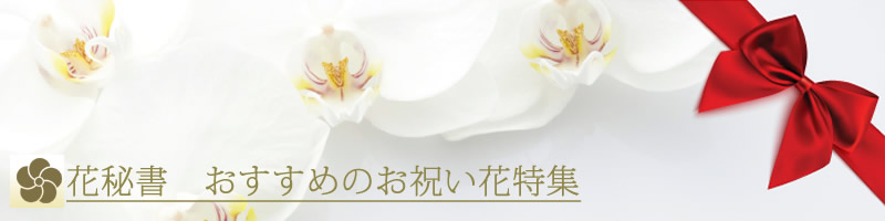 �N�Ԕ̔�����5,000���ȏ� �����p�t�����[�M�t�g ���j���ԁ@�Ӓ����y�Ԕ鏑�z���T�C�g